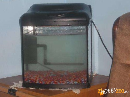 Acvariu echipat Hailea capac