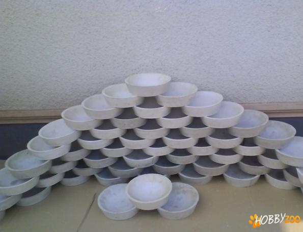 Cuibare pentru Porumbei 