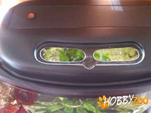 Ofer spre vanzare Acvariu Tetra Aqua 60 l