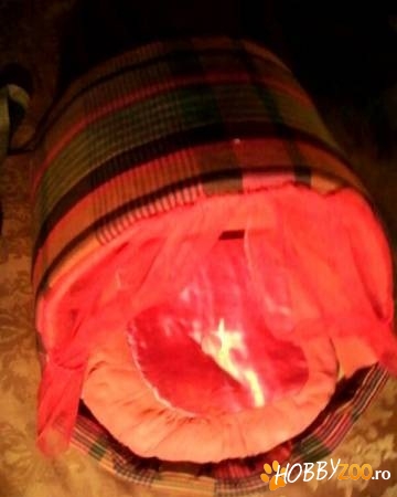 Pergola pentru caini sau pisicute