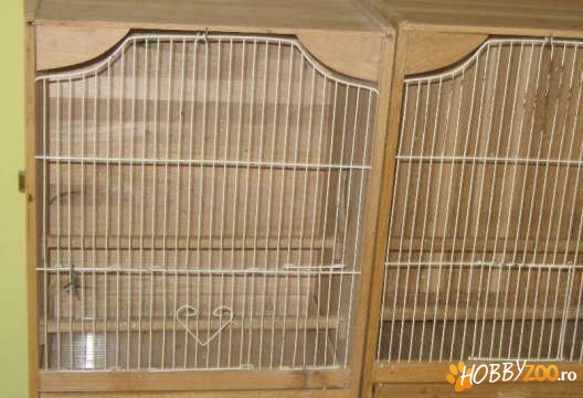 boxe pentru reproducere perusi