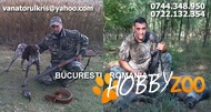 VANATOARE IN ROMANIA