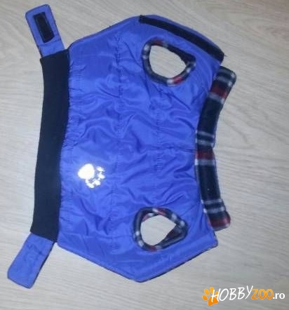 hainuta catelusi talie mica