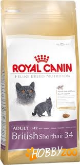 Royal canin British shorthair