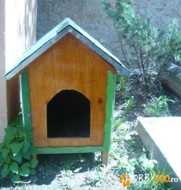 cusca caine mare noua