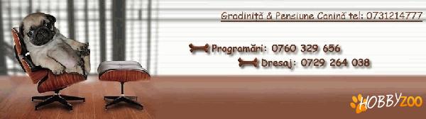Gradinita Pensiune Canina