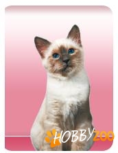 Royal Canin pentru pisoi