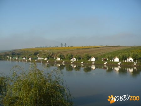 Paradisul Verde - Iasi Lac pescuit