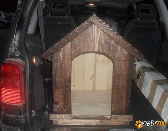 cusca caine talie medie