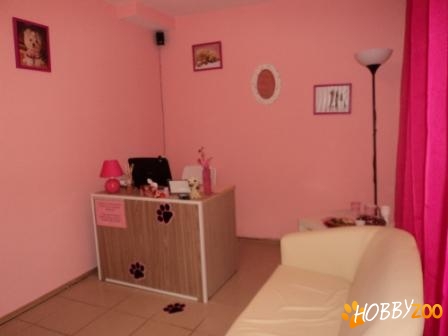 Frizerie caini, cosmetizare canina