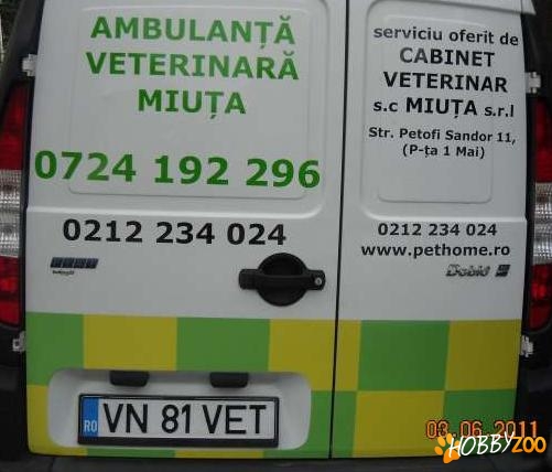 Ambulanta veterinara de urgenta