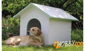 cusca cotet caini mari