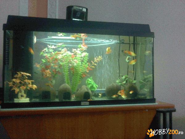 Vand acvariu Juwel 120 litri 