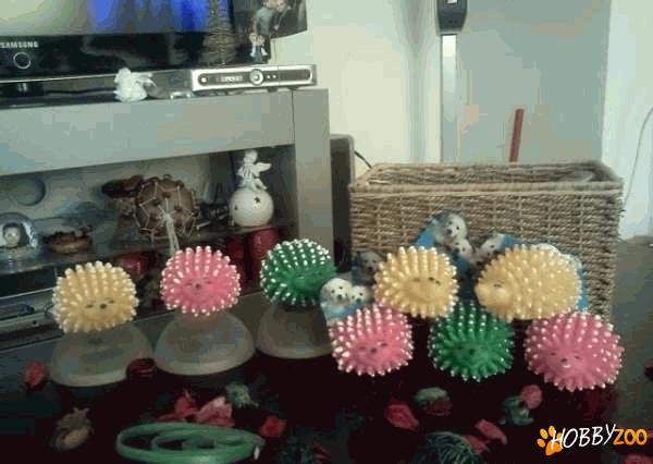 Jucarie pentru caine