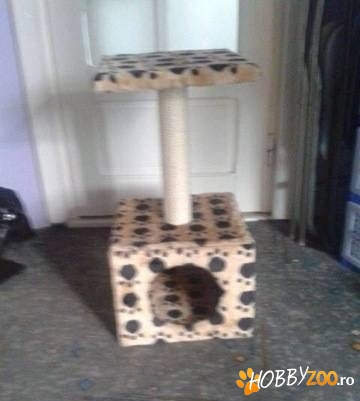 casuta pentru pisicute 