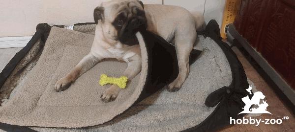 Căutăm ctelusa ptr monta