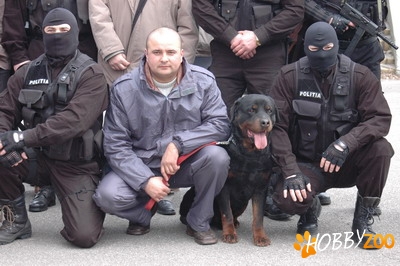 canisa Bodyguard Force Kennel